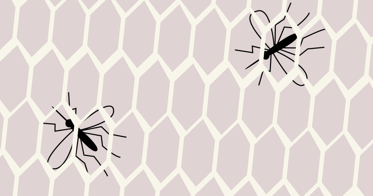 Malaria Prophylaxis The Ultimate Guide to Malaria Prevention